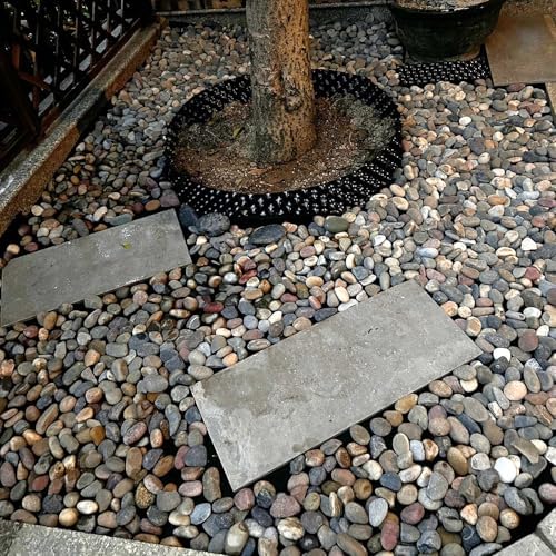 FANTIAN 20 lbs River Rocks for Landscaping, 1-2 Inch Pebbles for Plants - Image 5