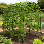 Garden Arch Trellis for Climbing Plants Outdoor - 83" H*71" W*43" L (Green) - Image 7