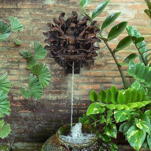 Dragon Head Fountain Faucet Resin Wall Mounted Garden Decor Coffee - Image 3