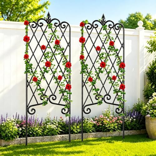 Amagabeli 2 Pack Garden Trellis for Climbing Plants 60" x 18" Rustproof Black Iron Potted Vines Vegetables Vining Flowers Patio Metal Wire by AMAGABELI+GARDEN+%26+HOME