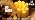 12 Pack Outdoor Waterproof Battery Operated Fake flameless LED Candles Set with Remote Control Timer, Warm White Decorative Candles for Patio Garden Wedding Table Centerpiece Home Decor - Image 7
