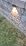 10 Pack Solar Fence Lights - 3 Modes, 9 Colors Outdoor Solar Lights, Waterproof IP 65, 35lm for Step, Stair, Deck, Wall, Patio, Walkway, Porch - Image 7