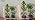 OUTON Standing Grow Lights for Indoor Plants, 48W Full Spectrum Plant Light - Image 7
