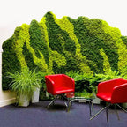Preserved Reindeer Moss Natural Green DIY Kit Gardenning Art Wall Decor Florist Decor Easter Table Decor Wedding - Image 5