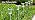 15 Pack Solar Lights Outdoor Waterproof Pathway Lights, Warm White - Image 7
