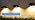 FALOVE 8 Pack Warm White Solar Powered Gutter Lights Outdoor Waterproof - Image 7