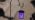 4 Pack Halloween Solar Lights 4.7 Inch Spider Purple Solar Pathway Lights - Image 7