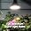 Briignite 4 Pack LED Grow Light Bulb, BR30 Grow Light Bulbs, Full Spectrum - Image 7