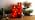 kakoya 11" x 4" Large Outdoor Waterproof Flameless LED Candles with Remote and Timer,Acrylic Pillar Candles Battery Operated with Embedded Star String for Porch,Patio,Outdoor Decor,Set of 2(Red) - Image 7