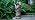 Solar Garden Statue Outdoor Decor 17.5 In Golden Retriever Dog with Lantern - Image 7