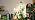 Barrina TR40 Hanging Grow Lights for Indoor Plant, 40W 4000K Full Spectrum - Image 7