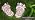 Garden Trail Paving Stone River Pebble - Outdoor Footprint Pedal Stone 2PS - Image 7