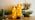 kakoya 11" x 4" Large Outdoor Waterproof Flameless LED Candles with Remote and Timer,Acrylic Pillar Candles Battery Operated with Embedded Star String for Porch,Patio,Outdoor Decor,Set of 2(Gold) - Image 7