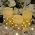 H-BLOSSOM Flickering Flameless Candles Ivory Real Wax Pillar with Embedded String Lights LED Candles Battery Operated with 10 Key Remote and Cycling 5H Timer Set of 3 (3" x 4"/5"/6") (Gold) - Image 7
