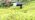 1000 Lumens Solar Spot Lights Outdoor Waterproof Landscape Spotlights - Image 7