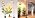 FECiDA 76" Floor Lamp Grow Light with Stable Base for Tall Indoor Plants - Image 7