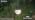 2.5W Glass Globe Low Voltage Pathway Lights, 2700K IP65 136LM 12-24V AC/DC - Image 7