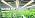 FREELICHT 1Pack 4FT Grow Light for Indoor Plants, Timer, 60W Full Spectrum - Image 7