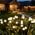 4 Pack Firefly Solar Garden Lights, Swaying Outdoor Decor for Yard - Image 7