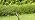 Low Voltage Landscape Spotlights with 5 CCT for Accent Lighting - Image 7