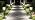 XMCOSY+ Solar Pathway Lights Outdoor, 6 Pack Solar Powered Garden Lights - Image 7